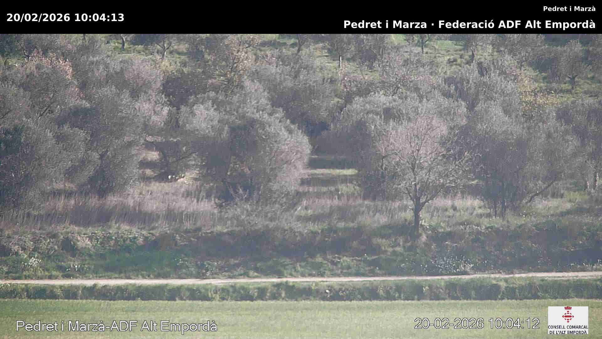 Pedret i Marza