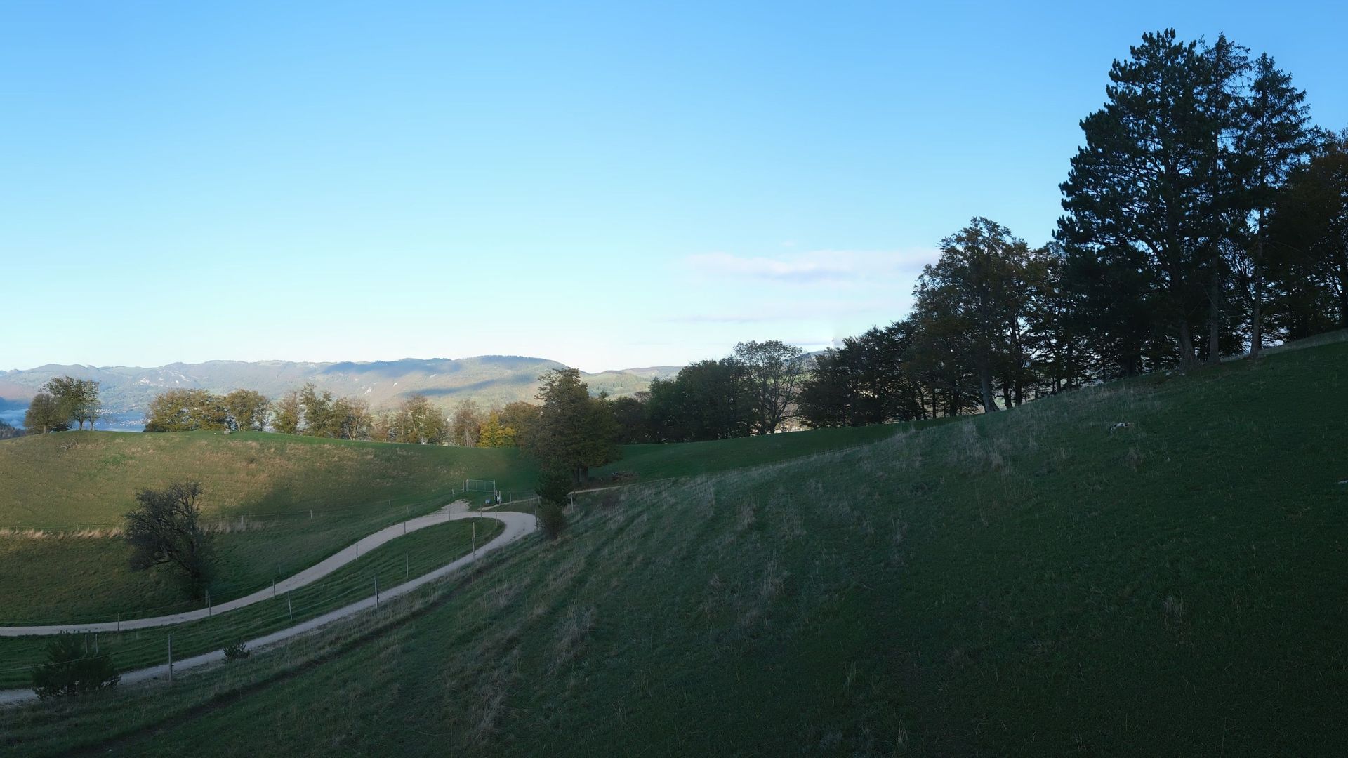 Oensingen