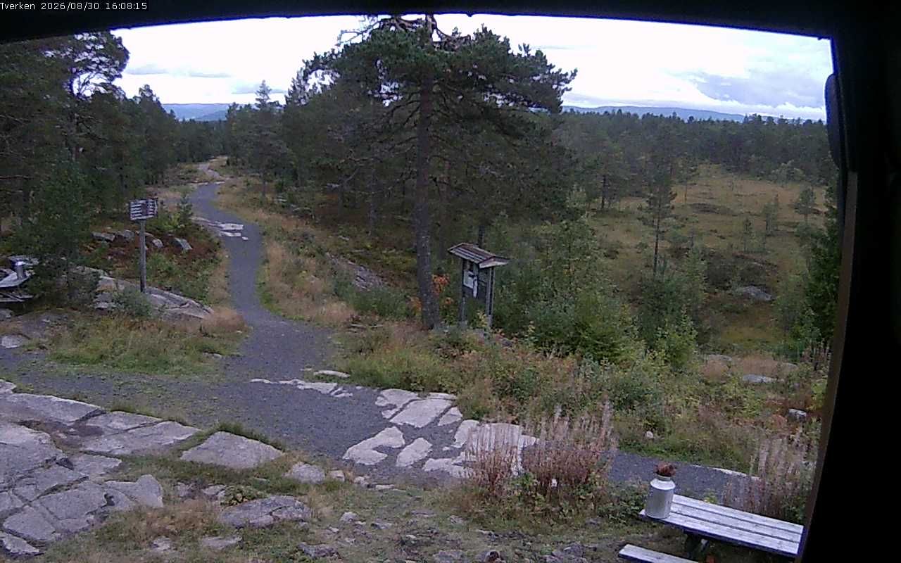 Drammen › North: Tverken