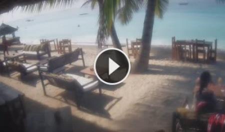 Webcam Pwani Mchangani (Zanzibar): View from the Waikiki Resort