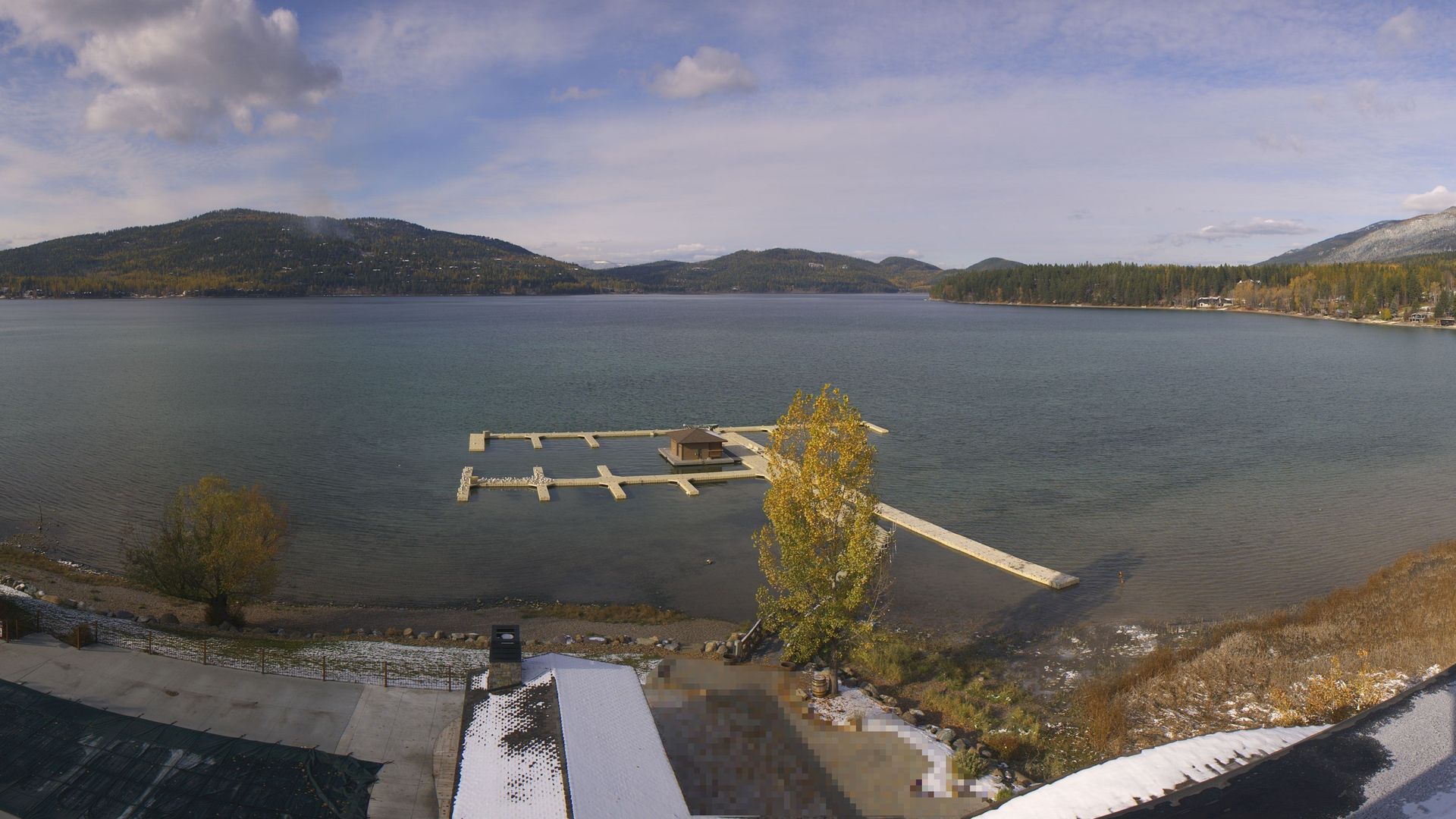 Whitefish