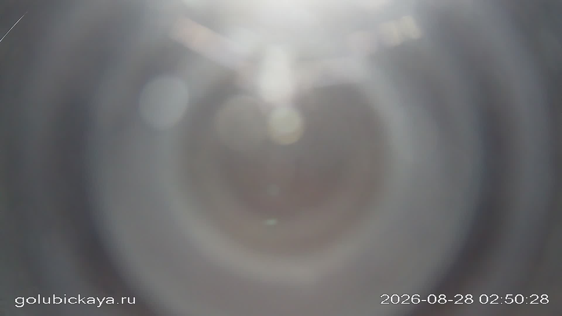 Голубицкое сельское поселение › North