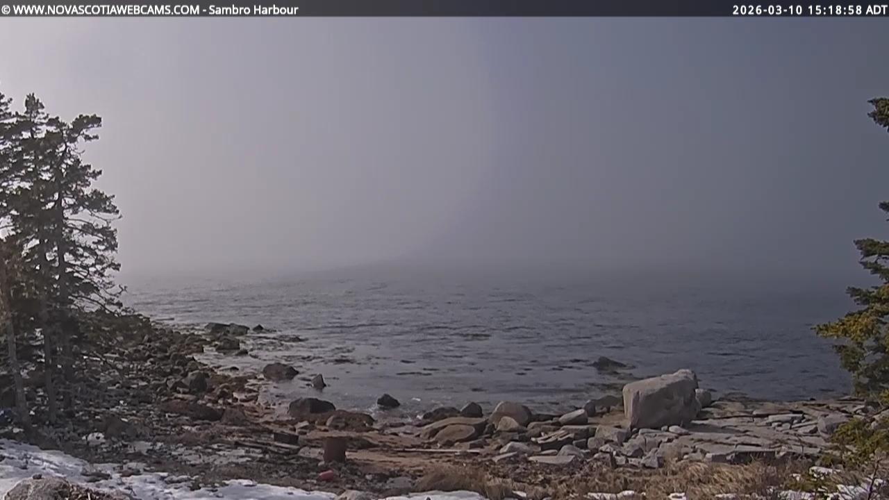 Webcam Bald Rock: Sambro Harbour