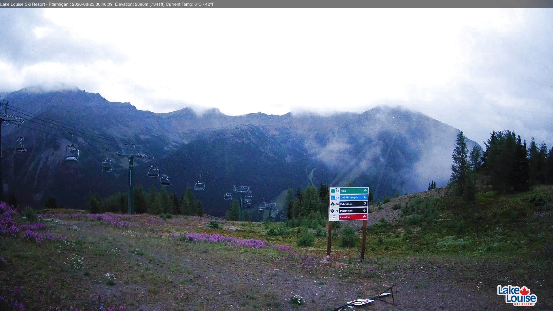 Lake Louise: Lake Loiuse Ski Area: Top of Ptarmigan looking towards Larch