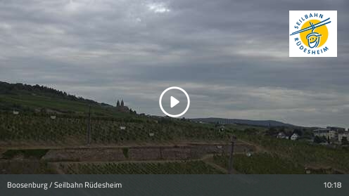 Rüdesheim am Rhein - Webcam Galore