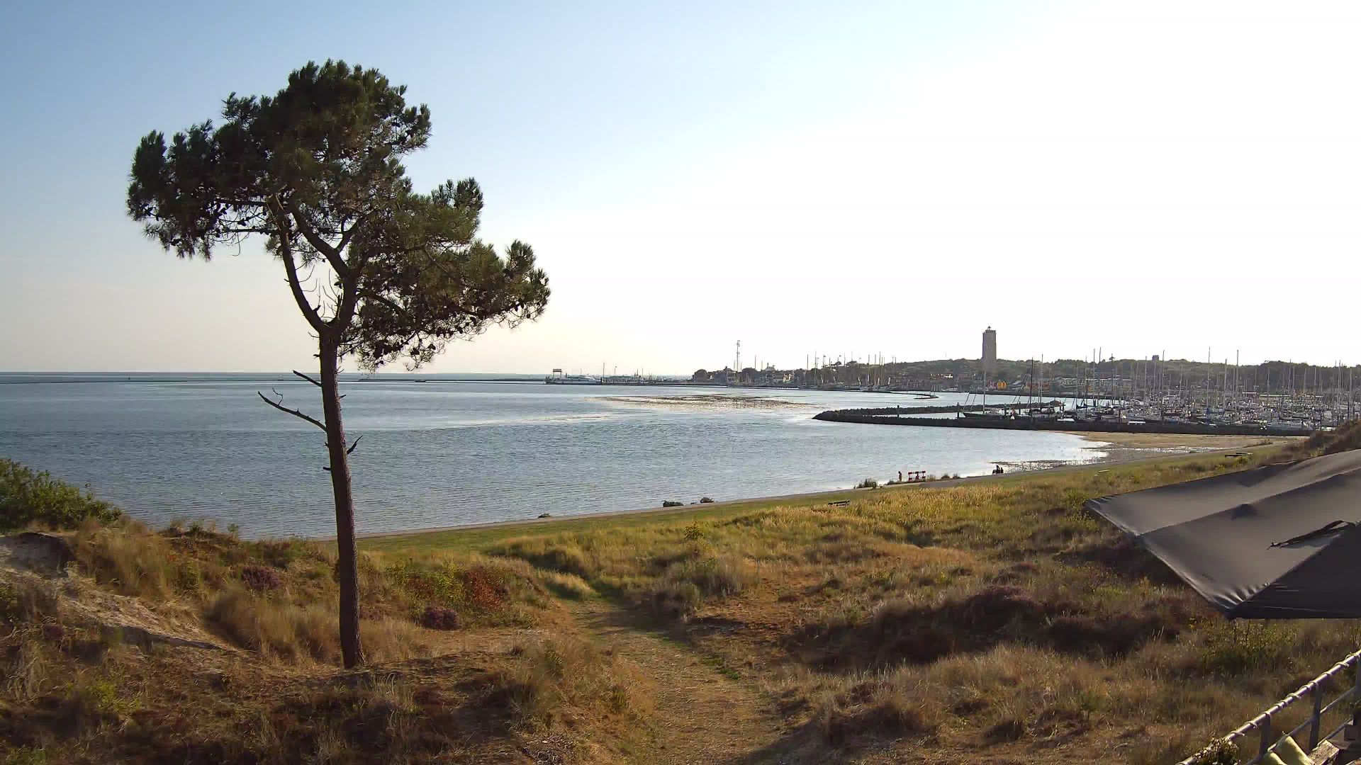 Terschelling › West: Dellewal - West-Terschelling