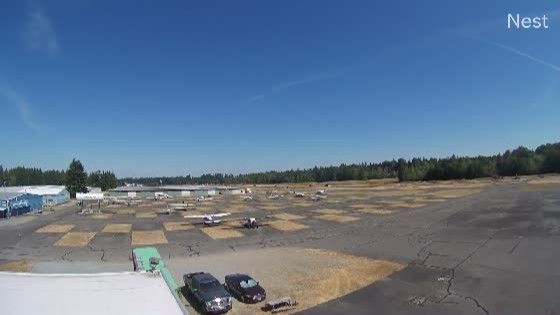 Edgewood: Mt Rainier