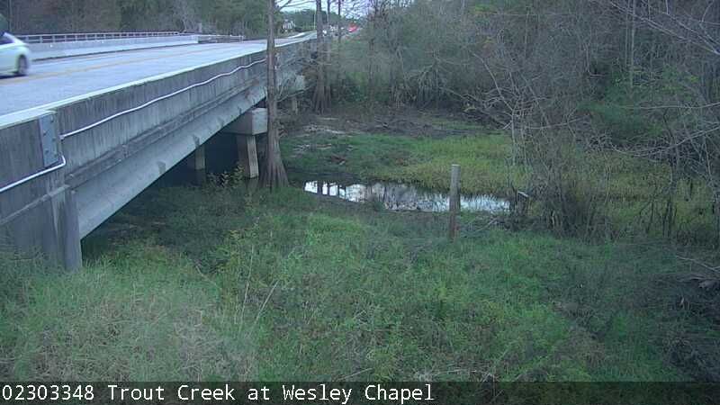 Wesley Chapel: Trout Creek