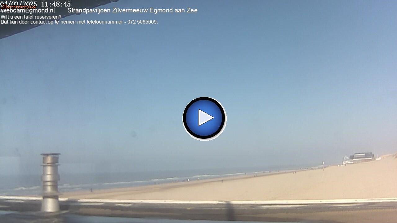 Egmond aan Zee › North-West: Zilvermeeuw