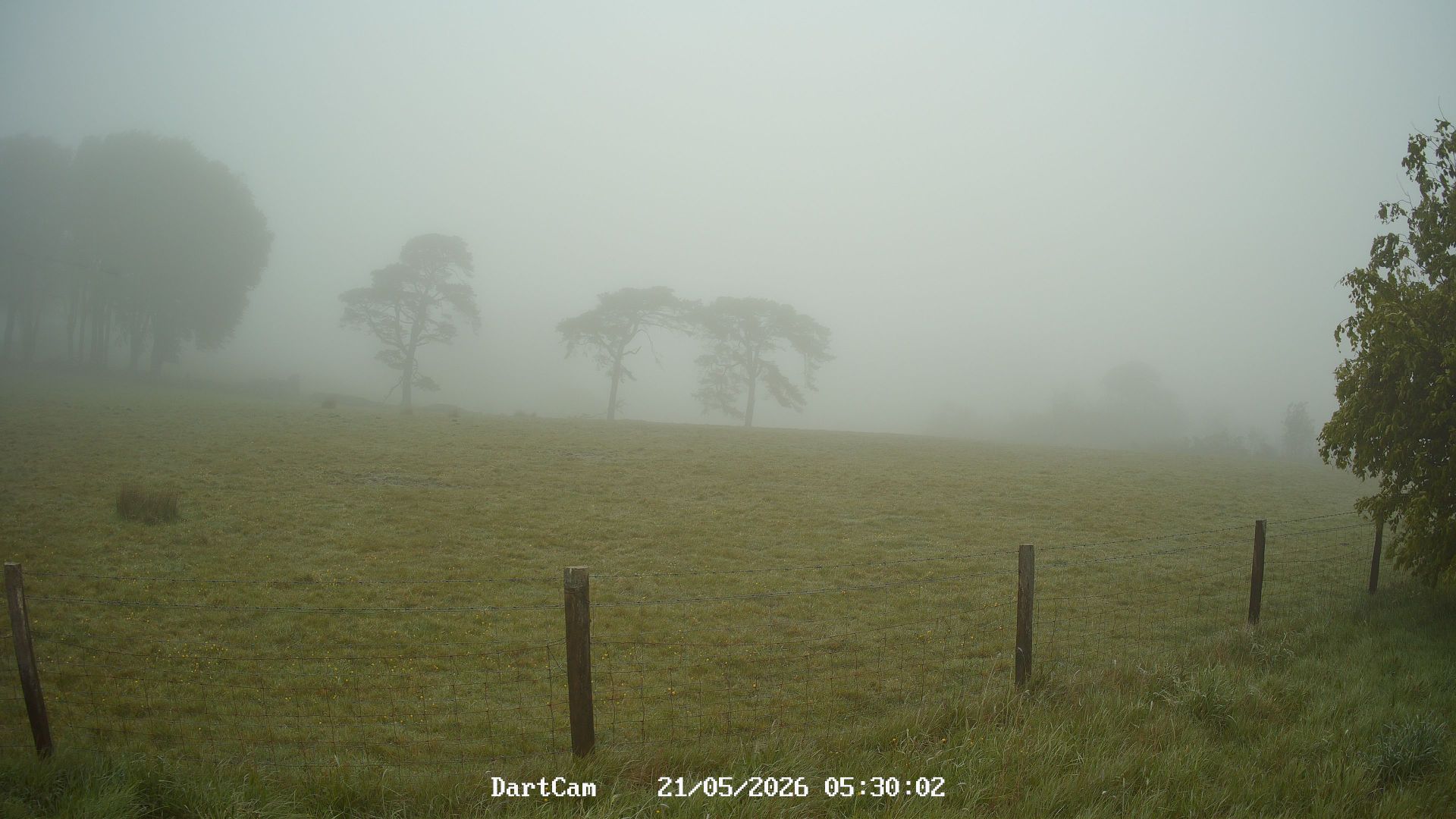 West Devon › North: Dartmoor National Park