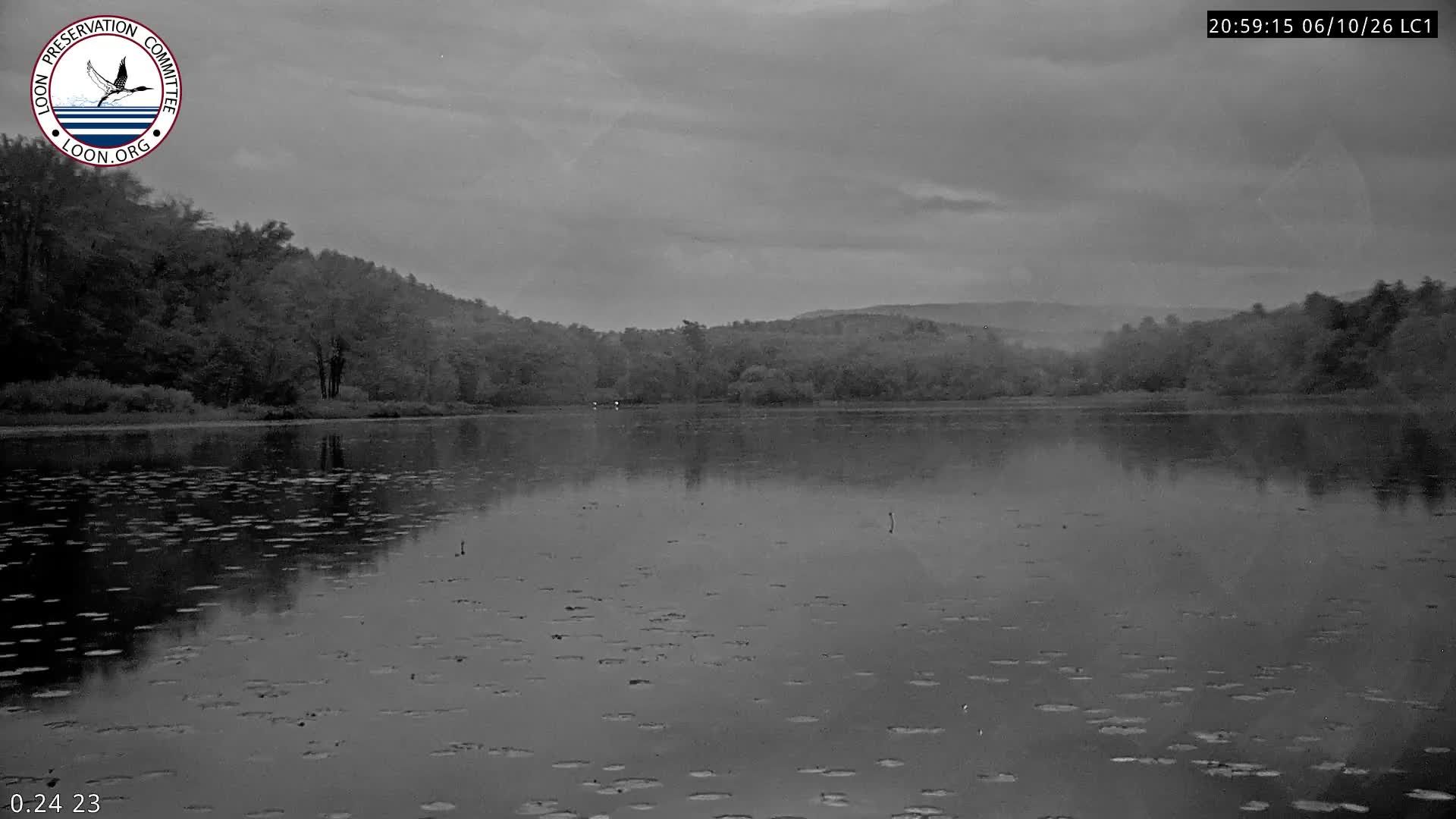 Moultonborough: LoonCam1