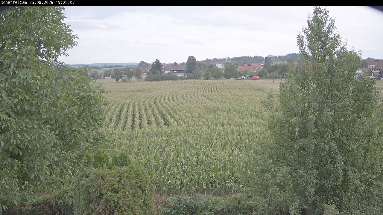 Bad Teinach-Zavelstein: ScheffelCam