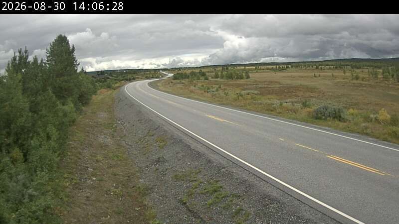 Gol: F51 Golsfjellet (Valdres)