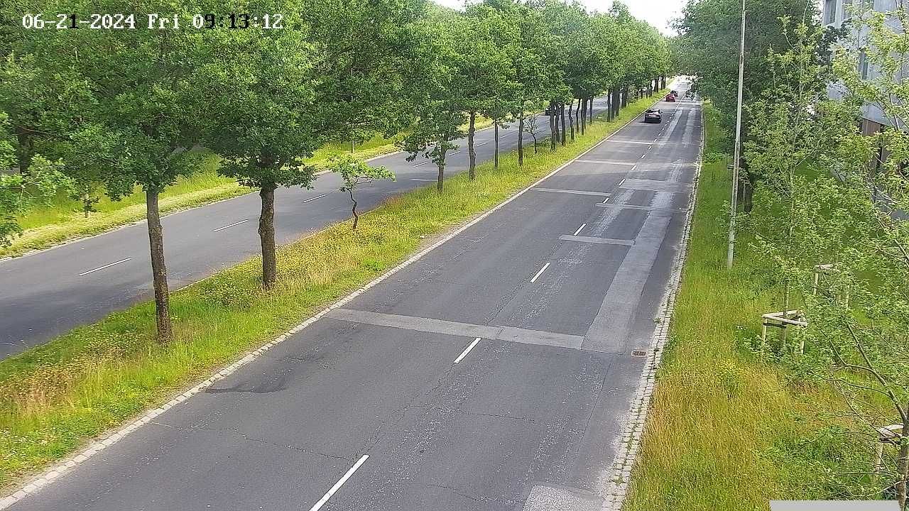 Korslokke: Niels Bohrs Allé