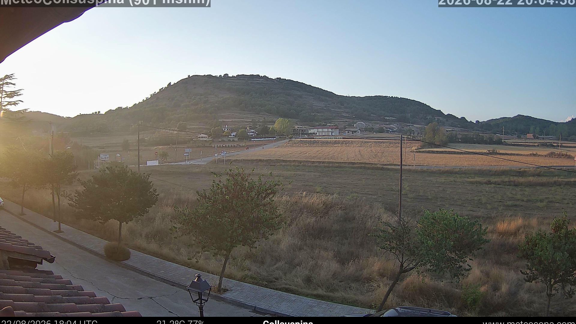 Collsuspina