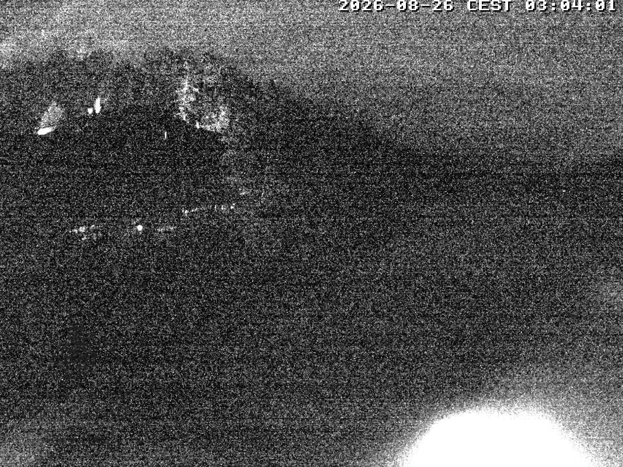 Webcam Tristach: Parkhotel Tristachersee