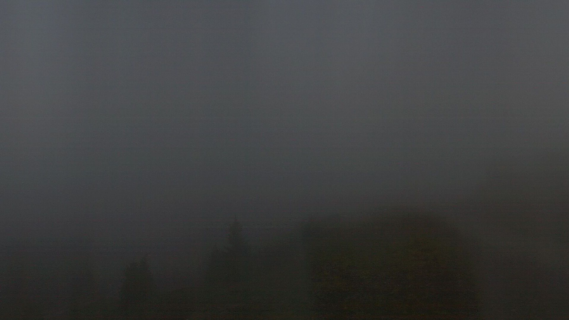 Dimaro Folgarida: Folgarida - Monte Vigo