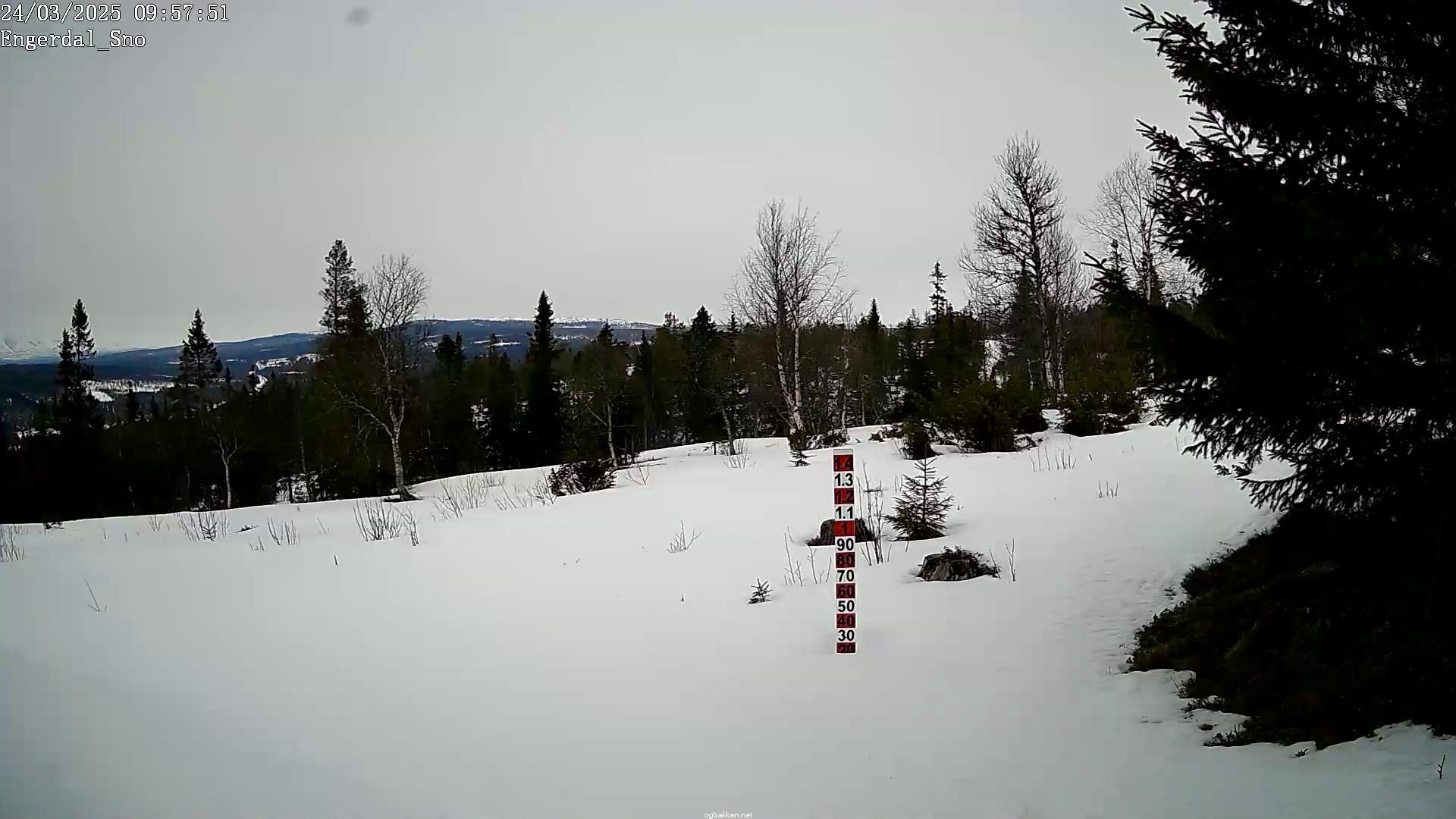 Innlandet › North