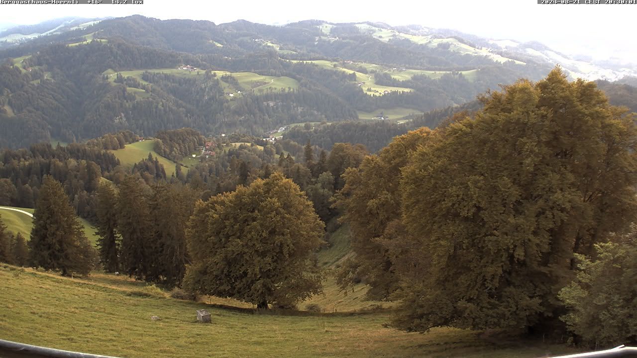 Fischenthal › South-West: Hörnli