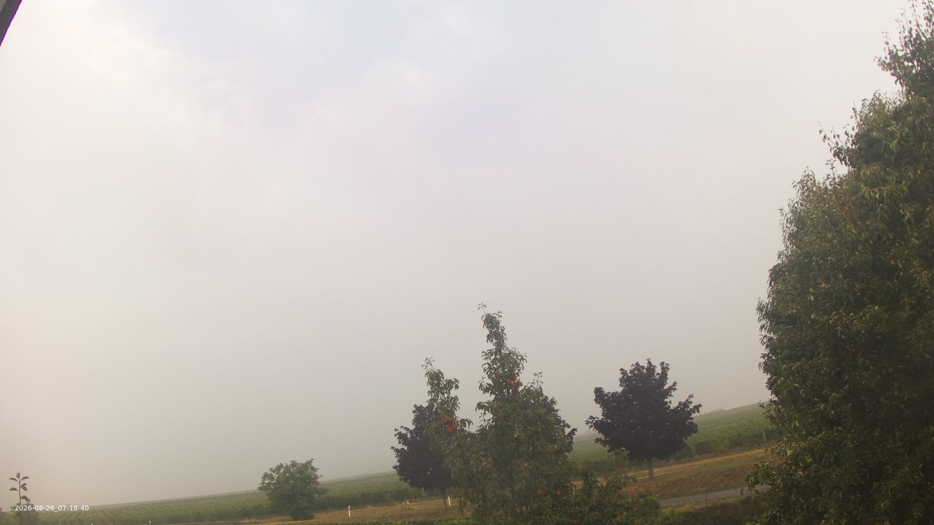 Essenheim › West