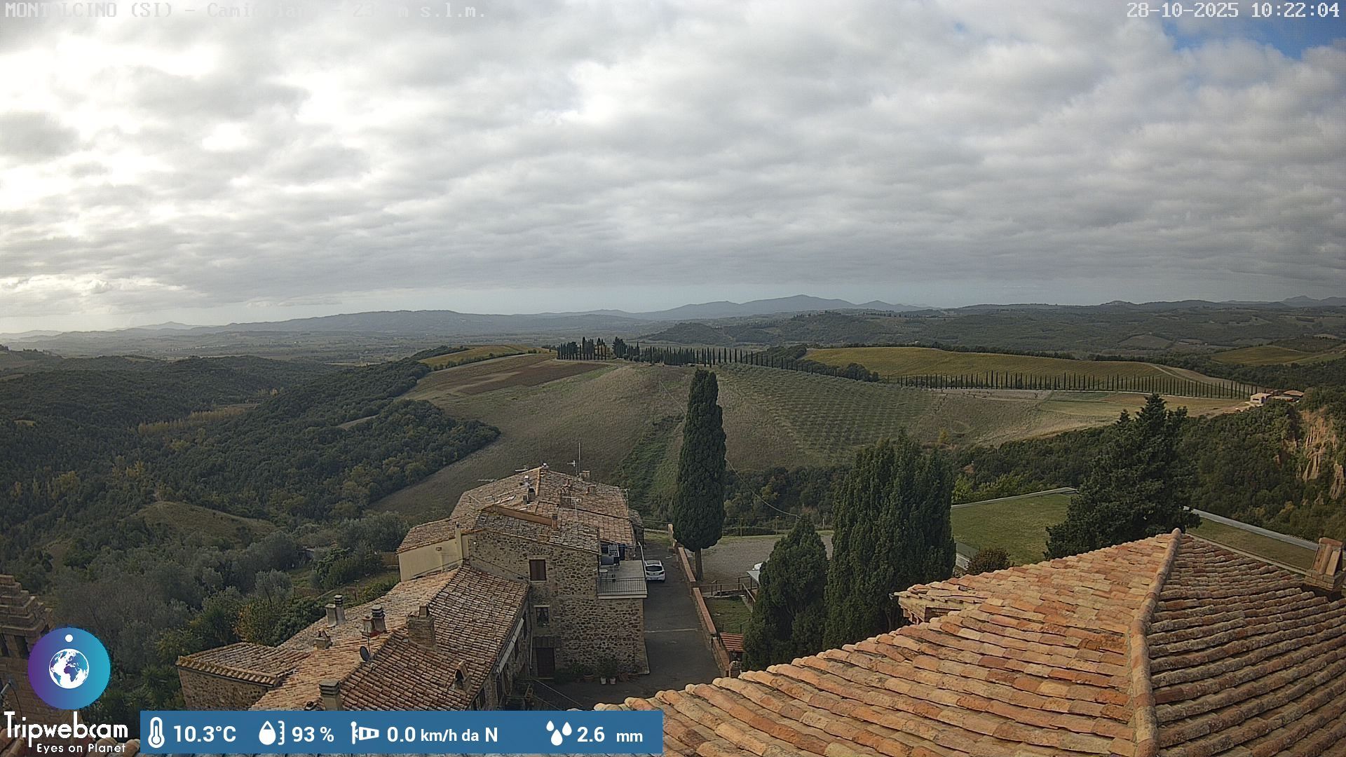 Montalcino: Camigliano Srl