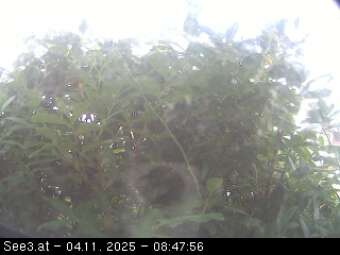 Webcam Presseggersee: Appartementhaus Tatschl
