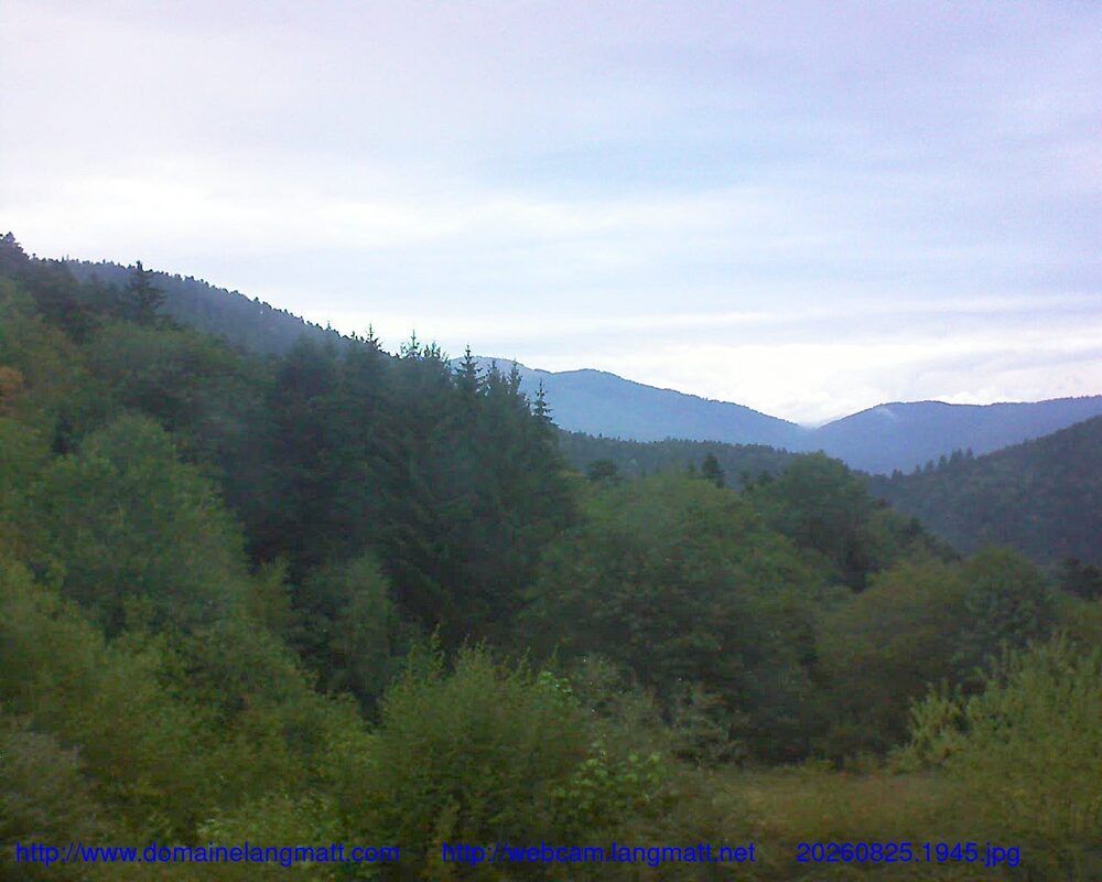 Murbach: Le petit ballon