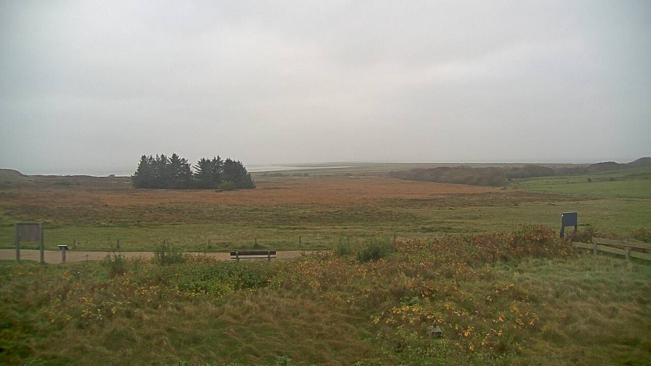 Sylt › South-East: Morsum