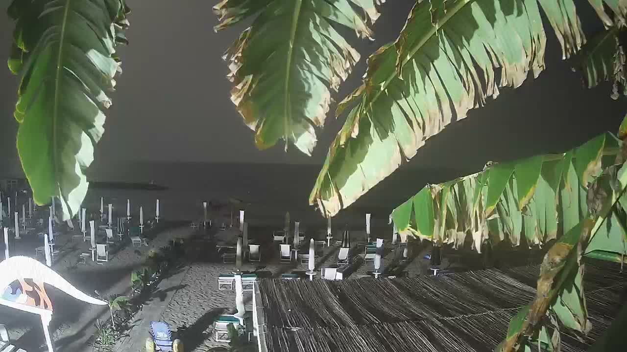 Anzio