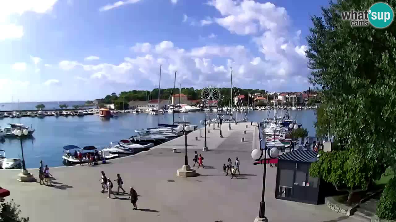 Webcam Krk: Livestream Marina Krk