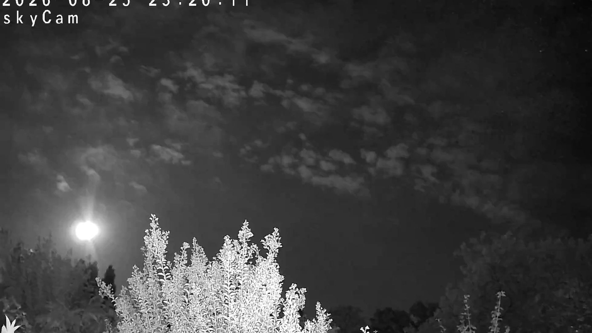 Bad Bergzabern › South-West: Bergzabern