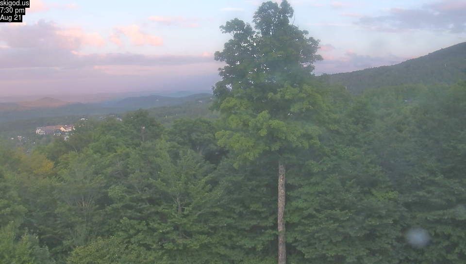 Stratton: VT