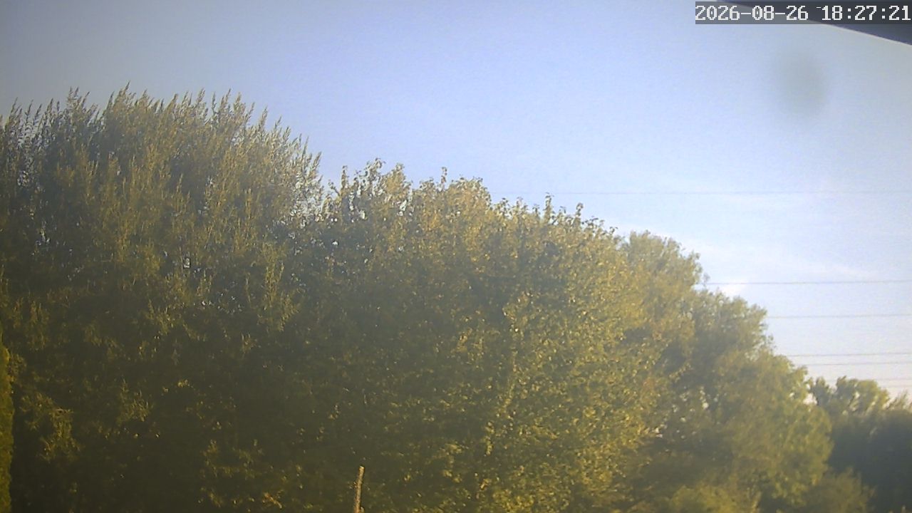 Uettingen › South-West