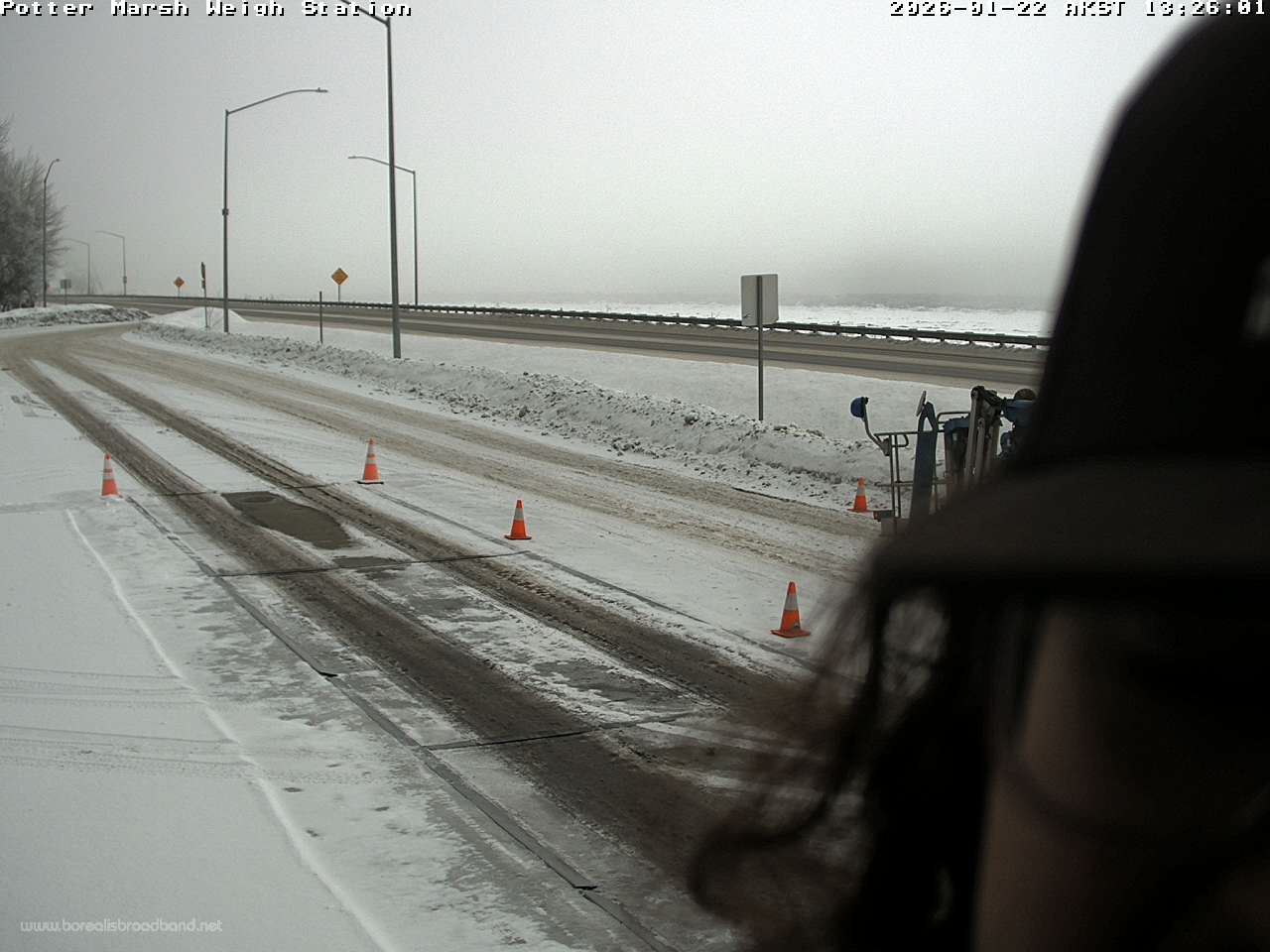 Webcam Anchorage, Alaska: Potter Marsh Weigh Station