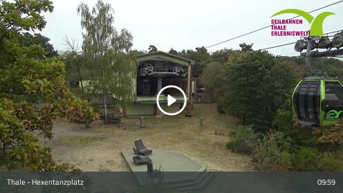 Thale - Webcam Galore