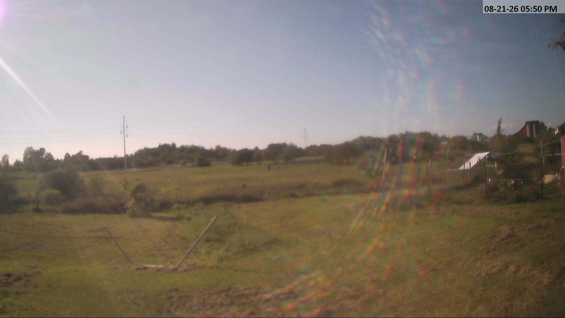 Watertown › North: New York - Farm, chickenhouse
