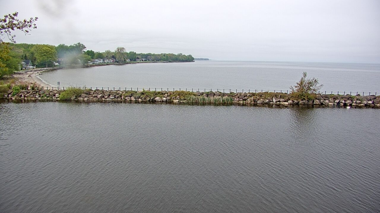 Carlton › North-East: Lake Ontario