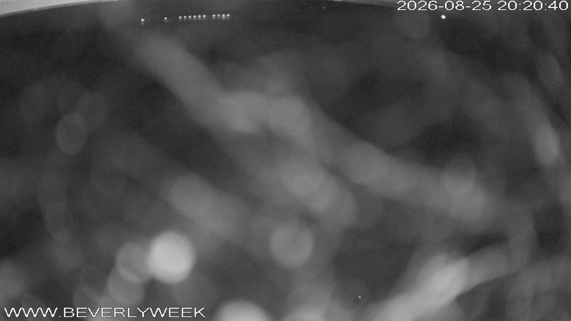 Webcam Bütgenbach: Lake Bütgenbach