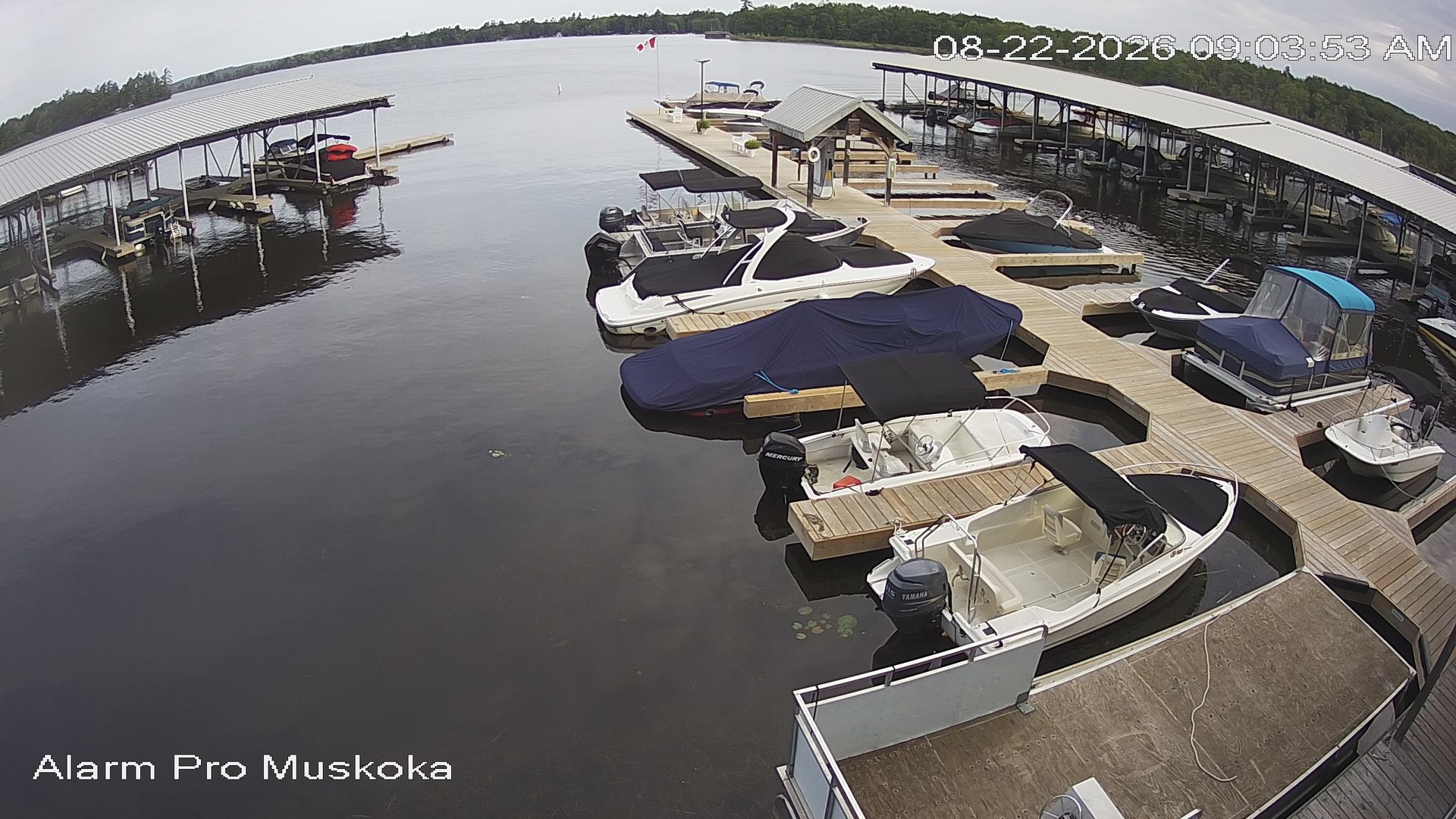 Bracebridge › West