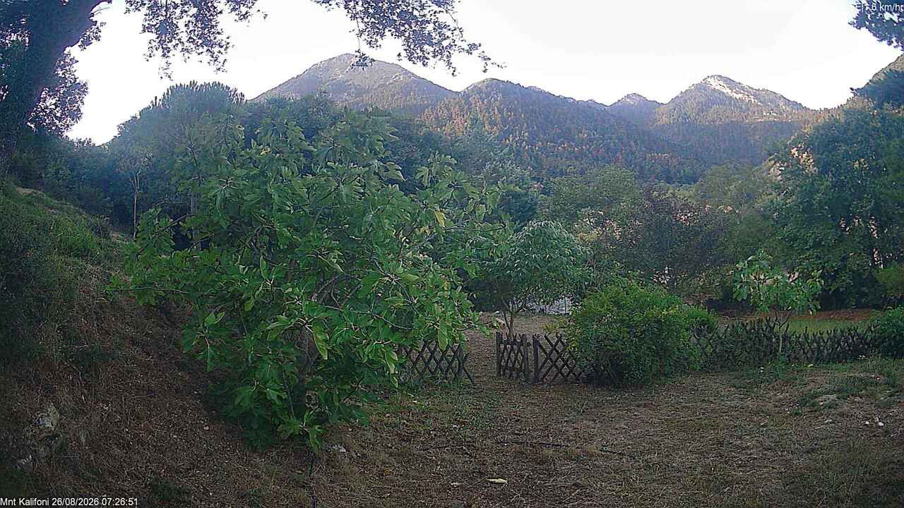 κ. Κάτω Βλασίας: Katw Vlasia Webcam - Mount Kallifoni