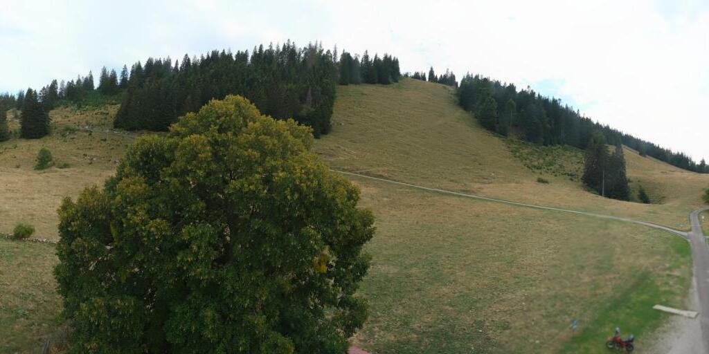 Webcam Buttes: roundshot 360° Panorama La Robella