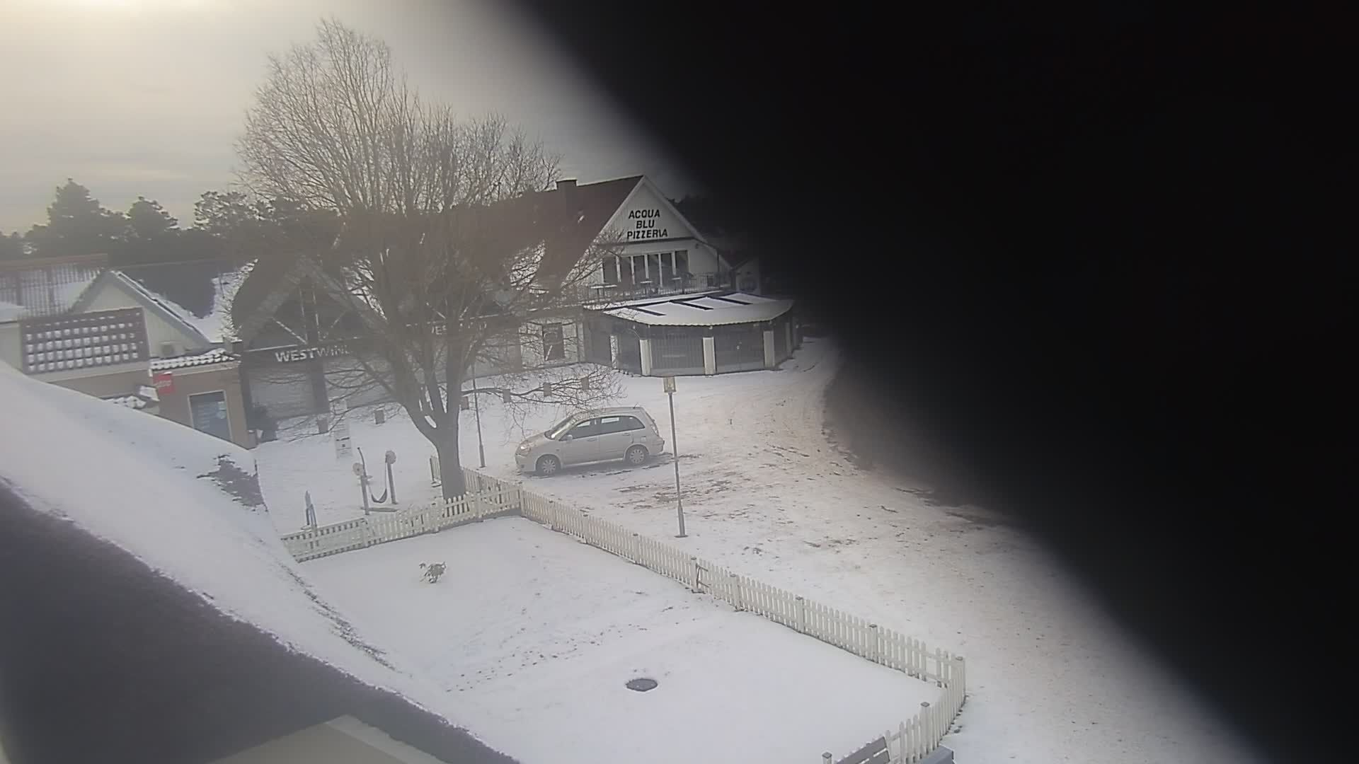 Webcam Blavand: Blavand Torv