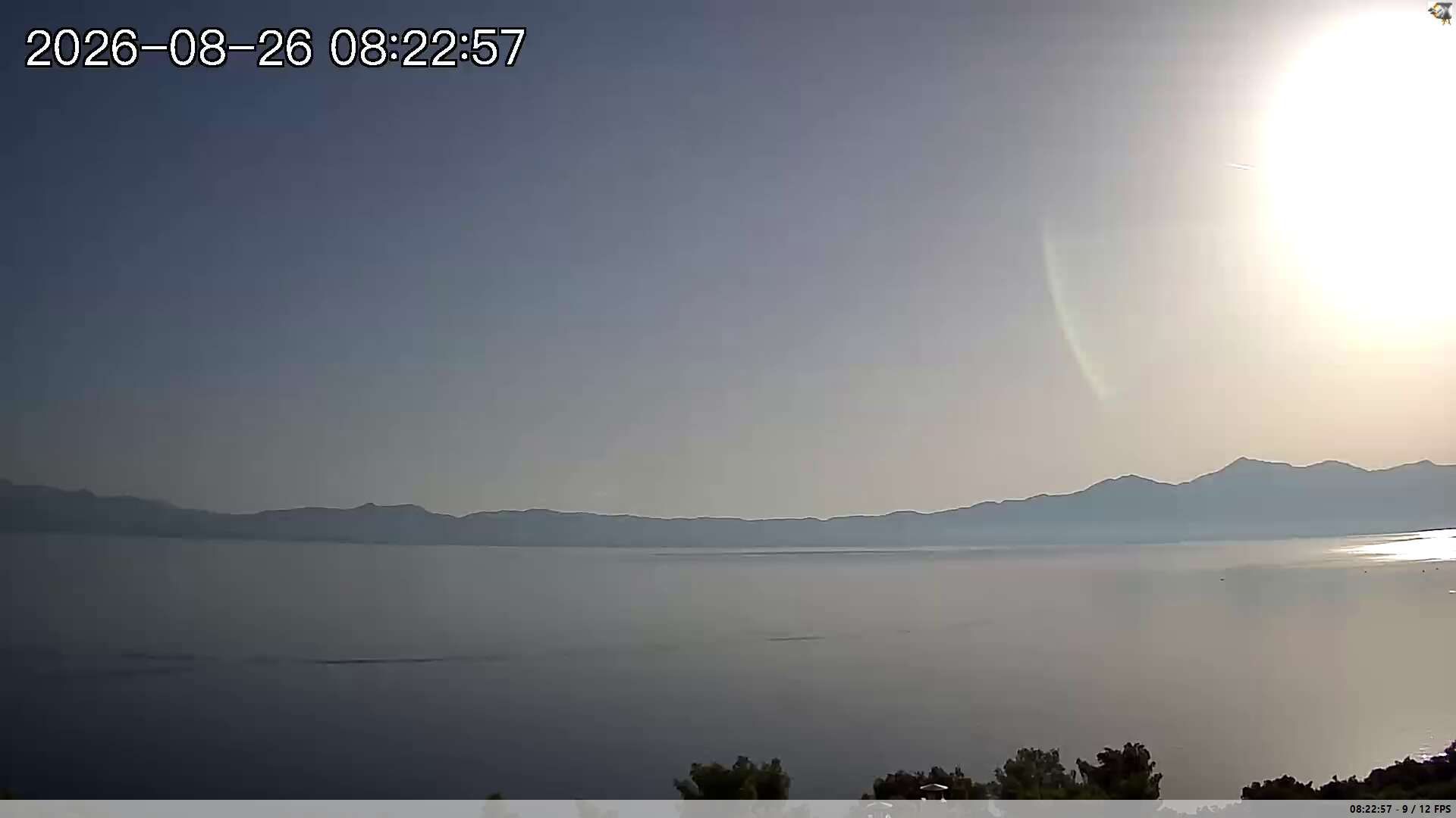 Κοινότητα Μαλεσίνας › North-East: Polydrosos