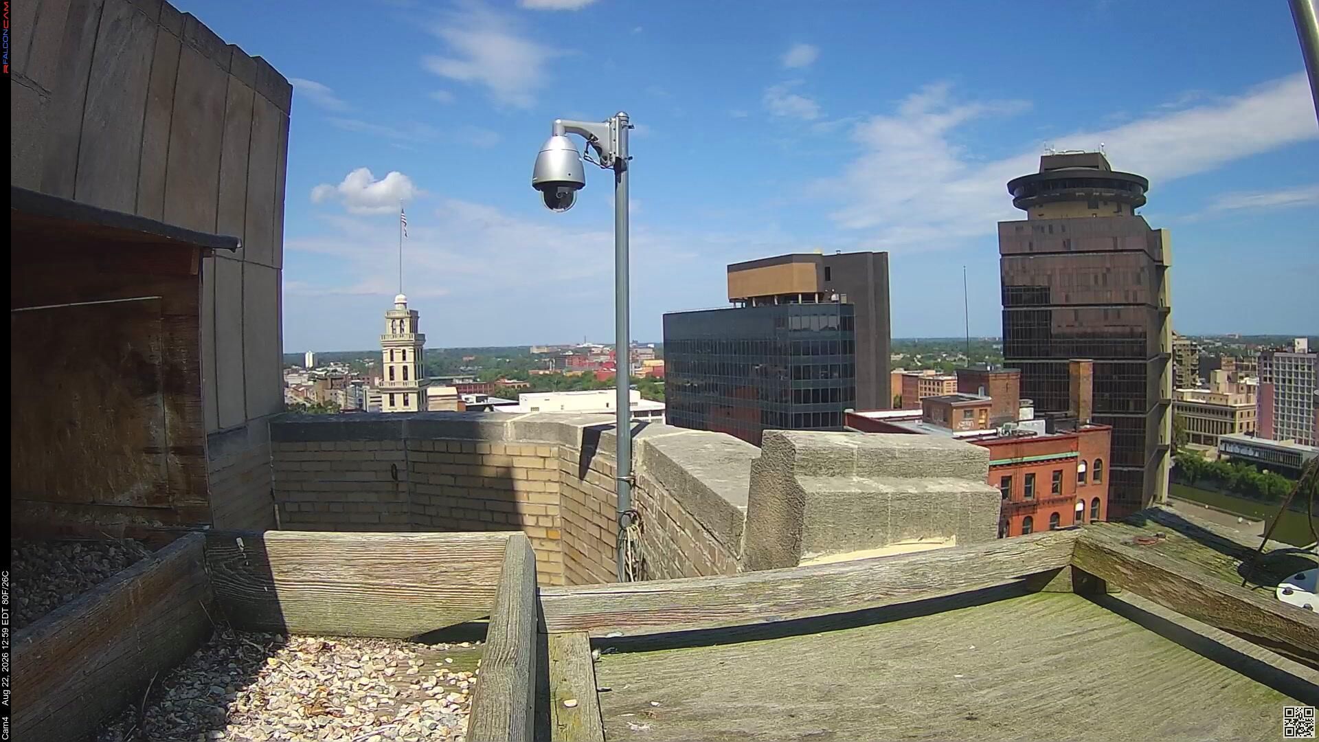 Rochester: Rfalconcam