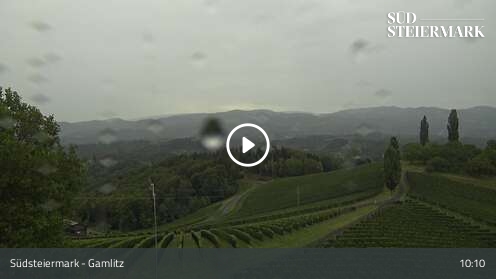 Glanz an der Weinstraße - Webcam Galore