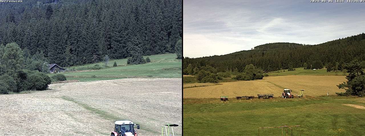 Forbach › North-West: Langlauf-Center Herrenwies