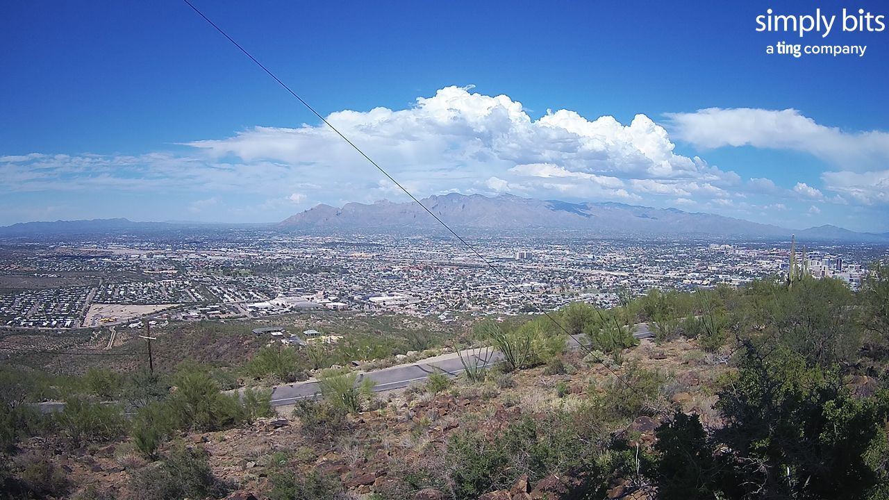 Tucson › East: Tumamoc East