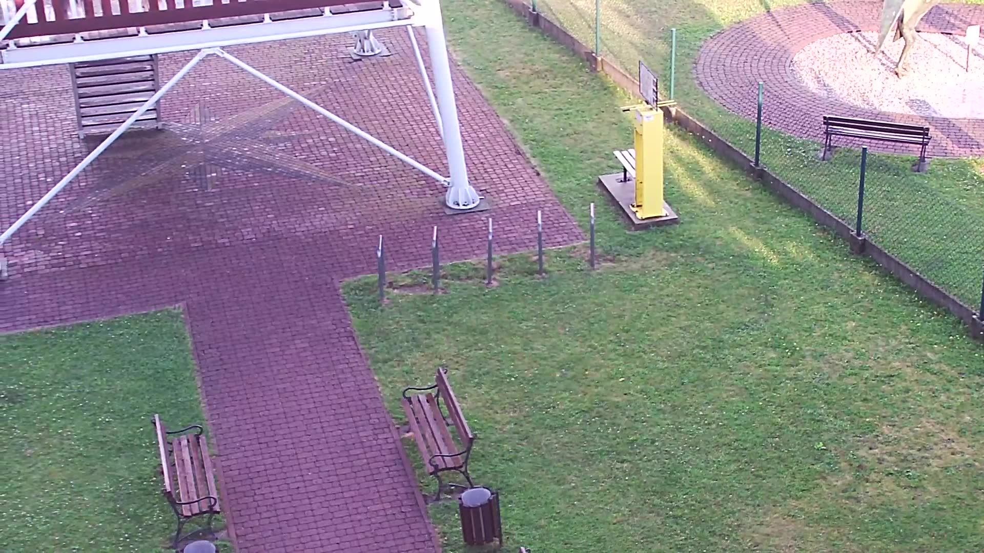 Globikowa: Dinosaur Park, Dębica