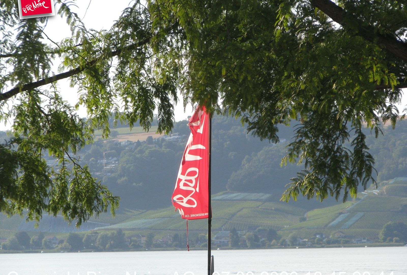 Murten: Lake Murten