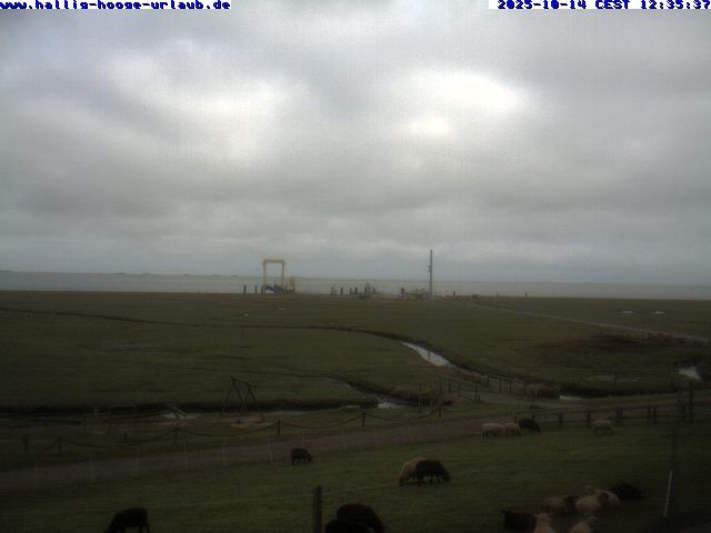 Hallig Hooge